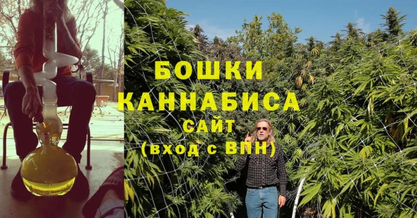 MESCALINE Аркадак